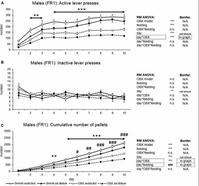 Sex and Feeding Status Differently Affect Natural Reward Seeking Behavior in Olfactory Bulbectomized Rats